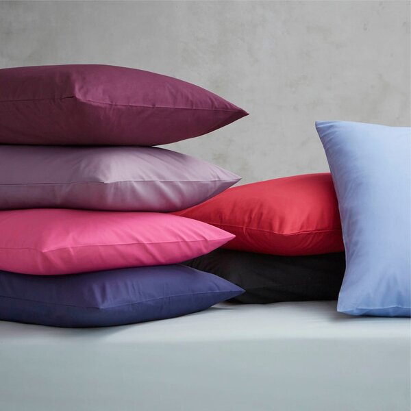 Prevleke za vzglavnik v kompletu 2 ks iz perkala 50x75 cm Easy Iron Percale – Catherine Lansfield