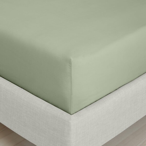 Zelena napenjalna rjuha iz bombažnega perkala 90x190 cm Cotton Percale – Bianca