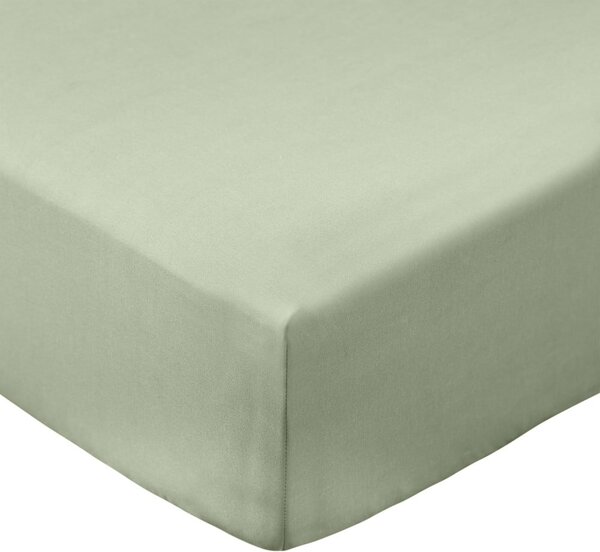 Zelena napenjalna rjuha iz bombažnega perkala 90x190 cm Cotton Percale – Bianca