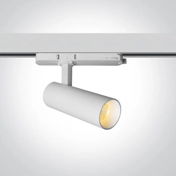BIJELI ŠINSKI LED REFLEKTOR COB 10W CCT 230V DM65606AT/W/V