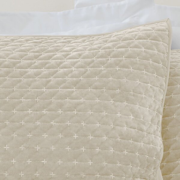 Prevleke za blazino v kompletu 2 ks 50x75 cm Attica Velvet Embroidered – Bianca
