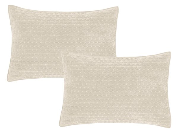 Prevleke za blazino v kompletu 2 ks 50x75 cm Attica Velvet Embroidered – Bianca