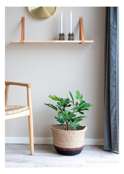 Umetna rastlina (višina 60 cm) Fig – House Nordic