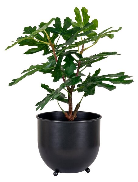 Umetna rastlina (višina 60 cm) Fig – House Nordic