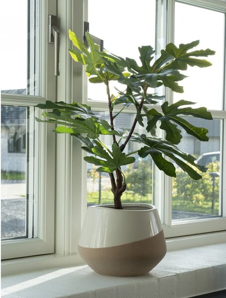 Umetna rastlina (višina 60 cm) Fig – House Nordic