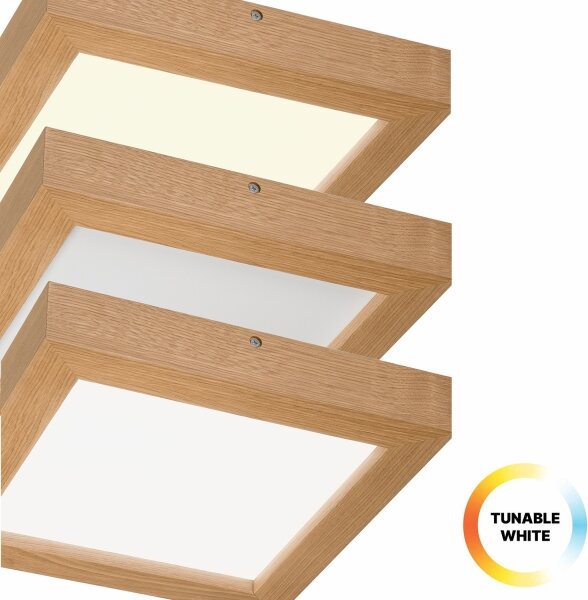 Brilagi-LED Zatemnitvena svetilka WOODY FRAME LED/24W/230V hrast 30x30 cm IP44 + Daljinski upravljalnik