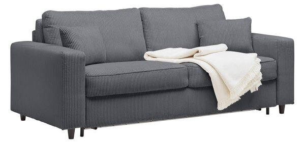 Premium Living Zofa S Posteljno Funkcijo Agneta