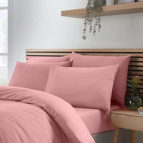 Prevleke za vzglavnik v kompletu 4 ks 50x75 cm So Soft Non-Iron – Catherine Lansfield