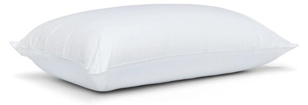 Polnilo za blazino iz spominske pene 48x74 cm Luxury Multi Relax – Catherine Lansfield