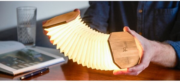 Svetlobna dekoracija na USB v naravni barvi Accordion – Gingko