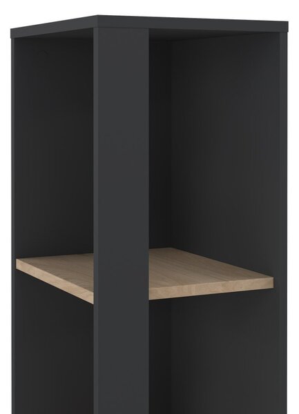 Antracitno siv/naraven regal v hrastovem dekorju 41x205 cm Sign – Tvilum