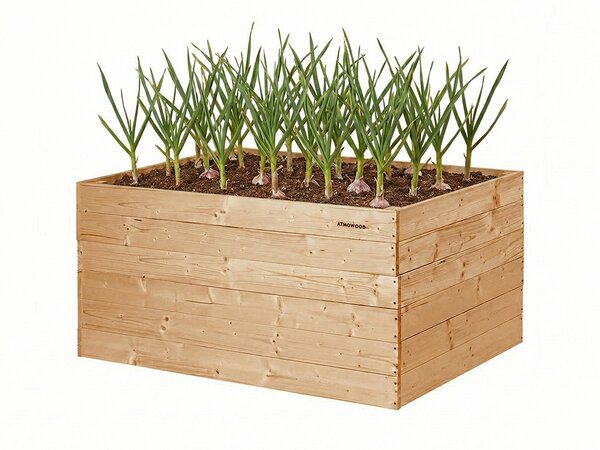 ATMOWOOD Visoka greda iz macesna 120 x 80 x 60 cm