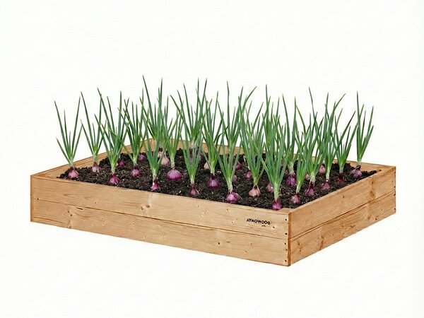 ATMOWOOD Visoka greda iz macesna 120 x 80 x 20 cm