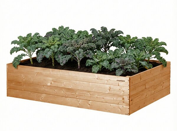 ATMOWOOD Visoka greda iz macesna 160 x 100 x 40 cm