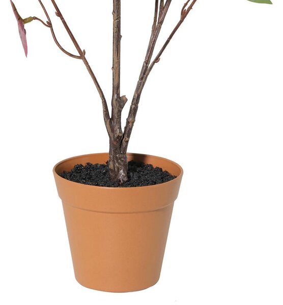 Mömax Umetna Rastlina Eukalyptus -Paz-