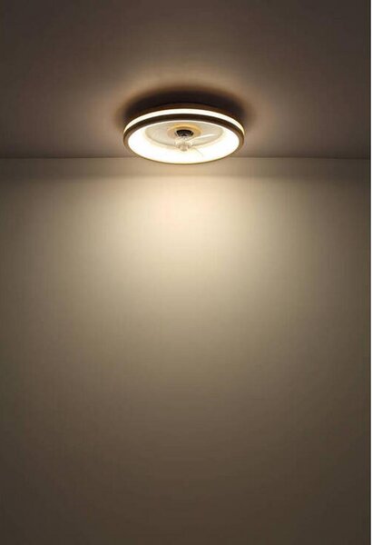 Globo Stropni Ventilator 03650