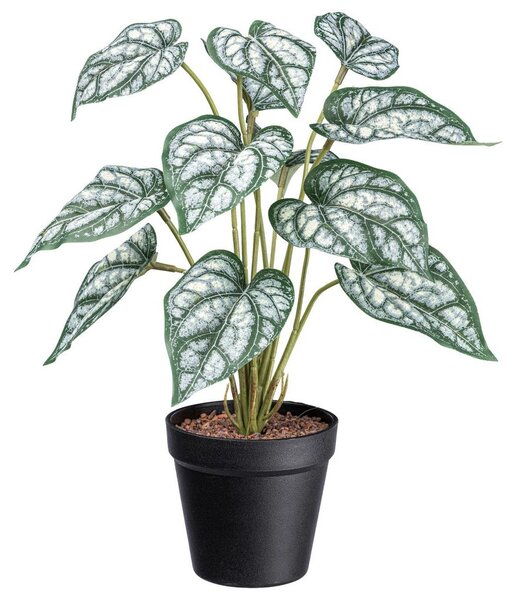 Modern Living Umetna Rastlina Syngonium Ii