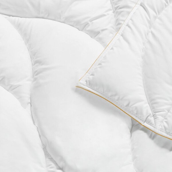 Premium Living Odeja Goldline Xxl, Ca. 200/200 Cm