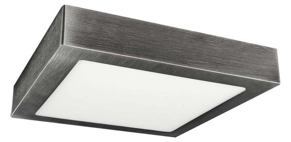 LED Stropna svetilka LED/24W/230V 3800K 29,8 cm