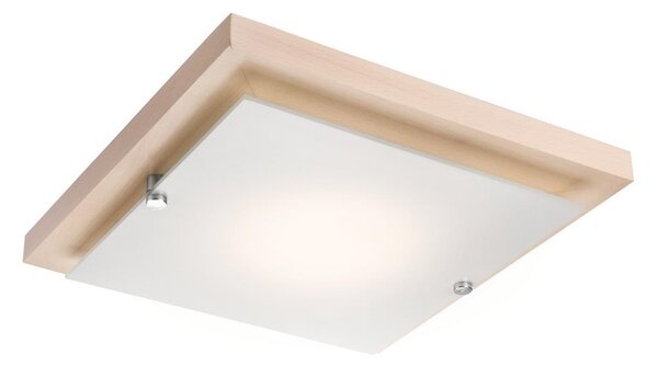 Stropna svetilka 1xE27/60W/230V - FSC certifikat