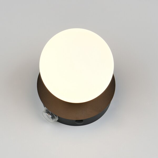 Trio Lighting Stenska svetilka Alfio, premer 11 cm, mat črna, kovina/steklo, IP44, Črna, Kopalnica, Kovina, Sodobni
