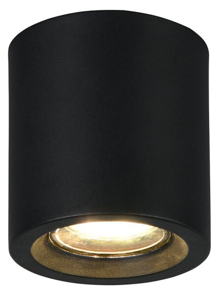 Trio Lighting Stropna svetilka Biscotto, mat črna, Ø 9,5 cm, kovina, IP44, Črna, Dnevna soba / jedilnica, Kovina, Sodobni