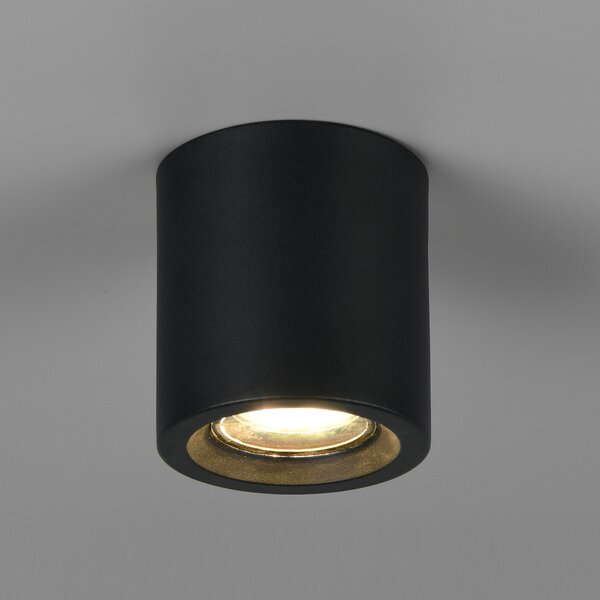 Trio Lighting Stropna svetilka Biscotto, mat črna, Ø 9,5 cm, kovina, IP44, Črna, Dnevna soba / jedilnica, Kovina, Sodobni