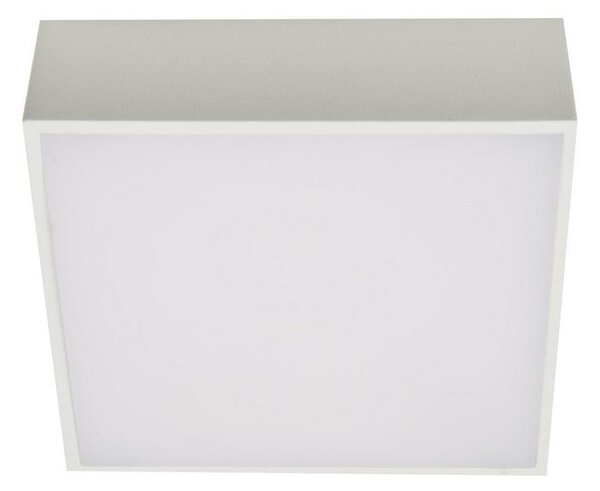 Azzardo AZ2781 - LED Stropna svetilka FALCO LED/12W/230V