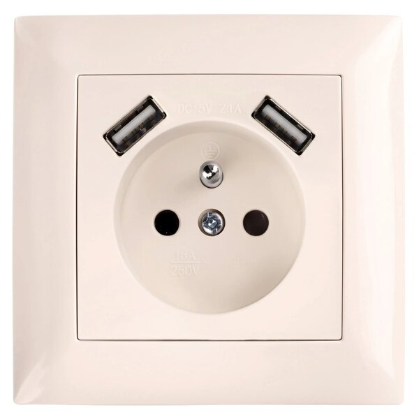 Enojna vtičnica z ozemljitvijo + 2x USB-A OSTE JNH003-G Beige
