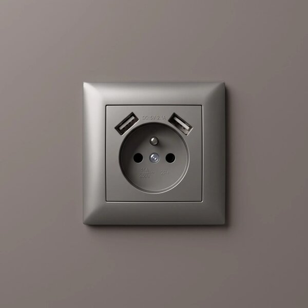 Enojna vtičnica z ozemljitvijo + 2x USB-A OSTE JNH003-G Grey