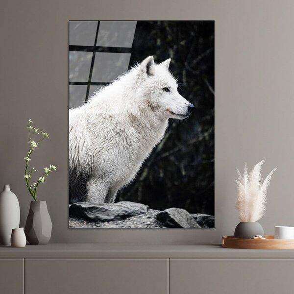 Steklena slika 70x100 cm White Wolf – Wallity