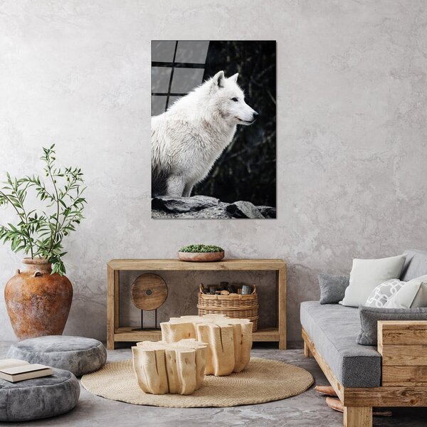 Steklena slika 70x100 cm White Wolf – Wallity