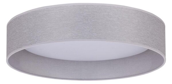 Duolla - LED Stropna svetilka ROLLER LED/24W/230V svetlo siva