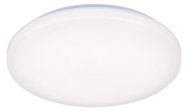 LED Stropna svetilka OPAL LED/50W/176-264V