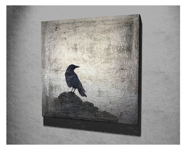 Stenska slika na platnu Black Bird, 45 x 45 cm