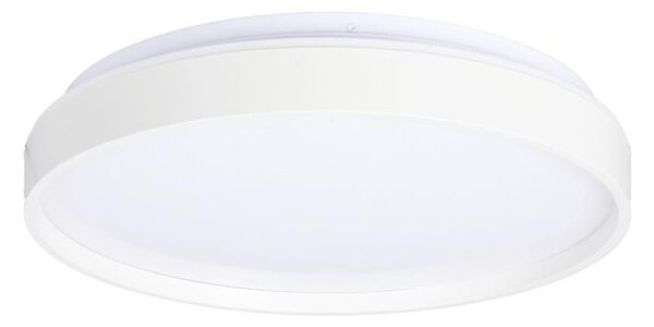 LED Stropna svetilka TEXAS LED/15W/230V bela