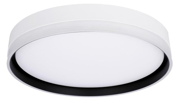 LED Stropna svetilka FLORIDA LED/24W/230V bela