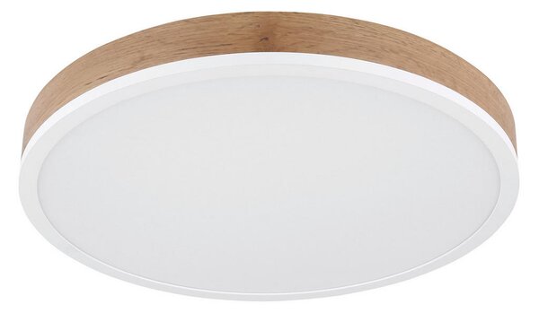 STROPNA LED-SVETILKA 3000 K 230 V