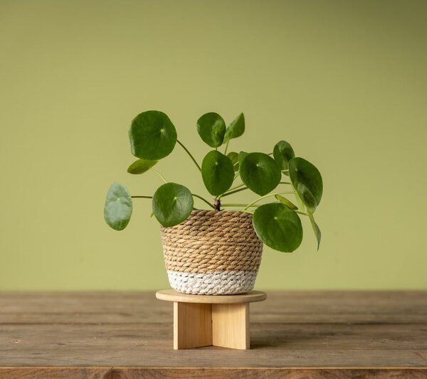 Stojalo za cvetlične lonce iz bambusa ø 18 cm – Esschert Design
