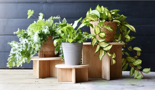 Stojalo za cvetlične lonce iz bambusa ø 25 cm – Esschert Design