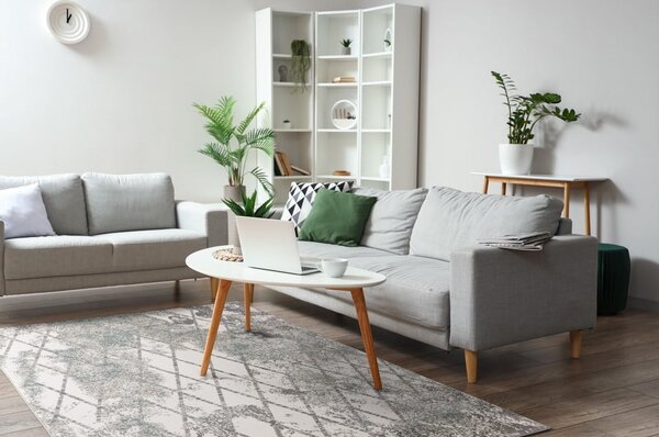 Siva preproga 200x280 cm Sensi Gepi – FD