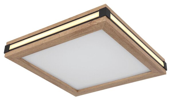 Globo Stropna Led-svetilka Carla, S Sijalko