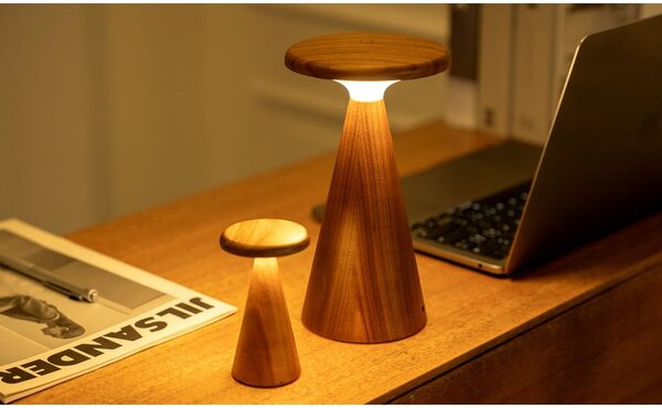 LED namizna svetilka v temni naravni barvi z lesenim senčilom (višina 14 cm) Sylva – Gingko