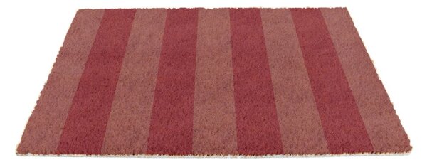 Predpražnik iz kokosovih vlaken 40x60 cm Pink Stripe – Artsy Doormats