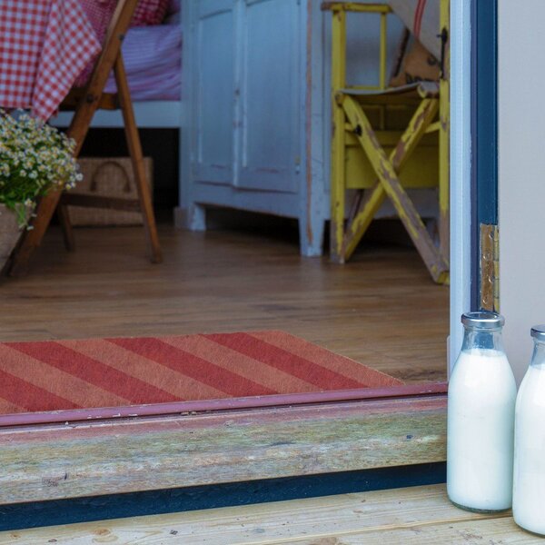 Predpražnik iz kokosovih vlaken 40x60 cm Pink Stripe – Artsy Doormats
