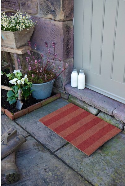 Predpražnik iz kokosovih vlaken 40x60 cm Pink Stripe – Artsy Doormats