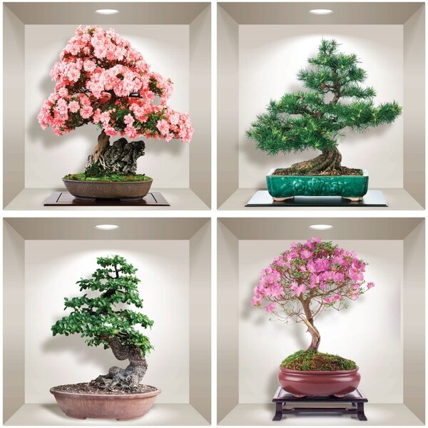 Komplet 4 3D stenskih nalepk Ambiance Bonsai of Seasons