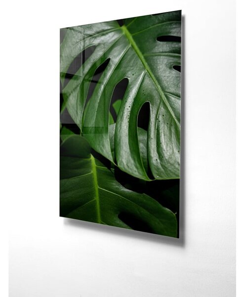 Steklena slika 50x70 cm Monstera – Wallity