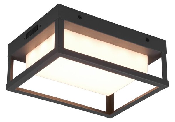 Zunanja stenska svetilka LED (višina 24 cm) Witham - Trio