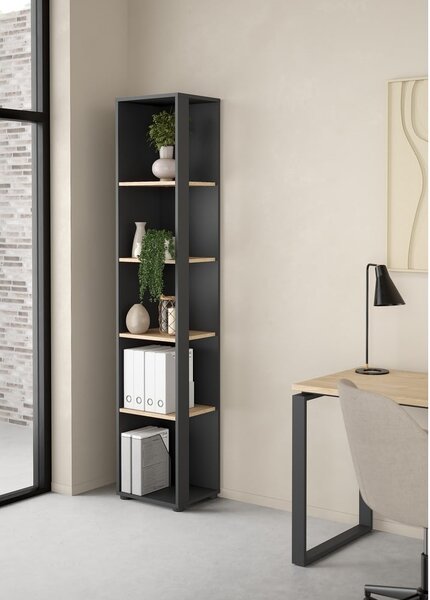 Antracitno siv/naraven regal v hrastovem dekorju 41x205 cm Sign – Tvilum